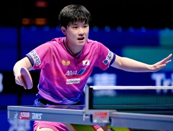 张本智和逆转邱党晋级八强 温瑞博迎战林昀儒